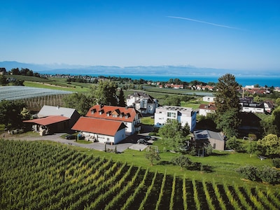 Neues, freistehendes Ferienhaus aus Holz im Weinberg, Terrasse, kostenloses WLAN