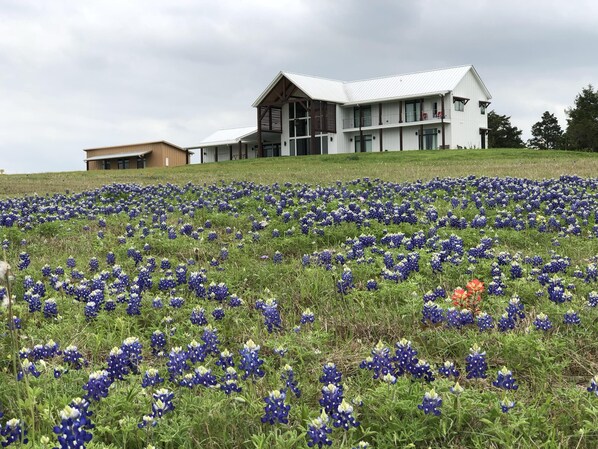 Back of home and Casita 