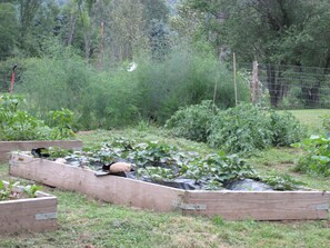 Jardines del alojamiento