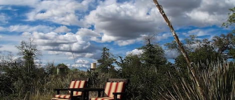 Seating area with view of the National Forest, the best spot for stargazing.