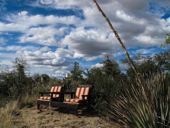 Seating area with view of the National Forest, the best spot for stargazing.