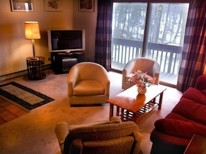 Living Room, complete privacy - woods view