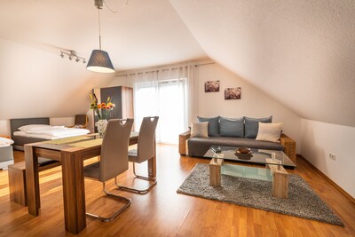 New full furnished Apartment near Frankfurt Airport and Exhibition 