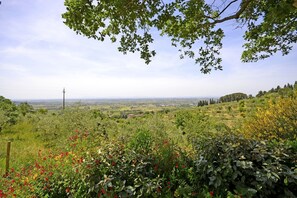 Outdoor, Scenic View