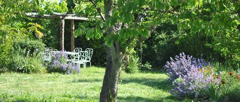 Primavera in giardino