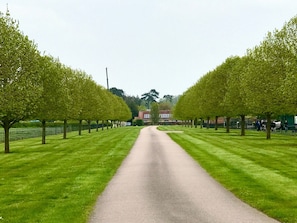 Driveway leading to the Cow Shed