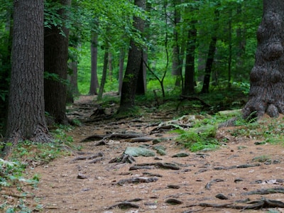 Lake Adjacent Family Home Ready To Host Your Next Trip To Wachusett Mountain!