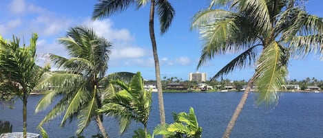 View from living room window and lanai.