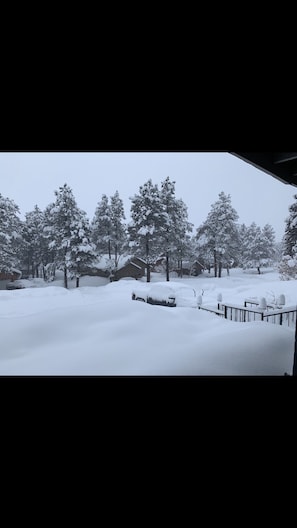 Snow 2/22/19
