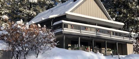 Fresh Snow
February 2019