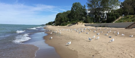 Spiaggia