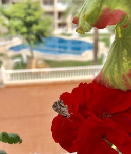 unique, romantic, private roof terrace + 2 balconies,  150 m to beach, free WiFi