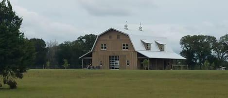 Classy Cattle Farm Experience-Wine and Bovine 