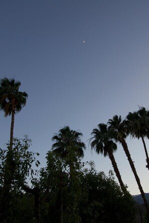 View from the front patio