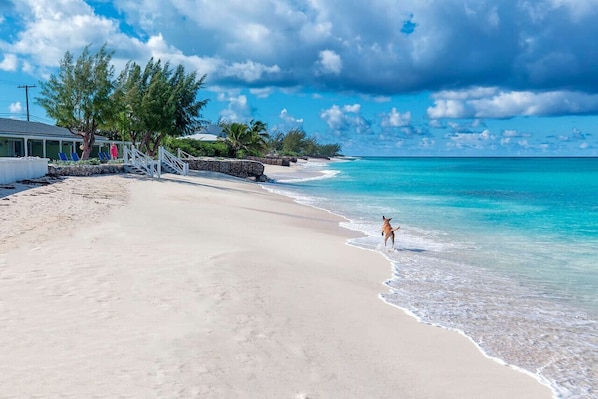 Strand