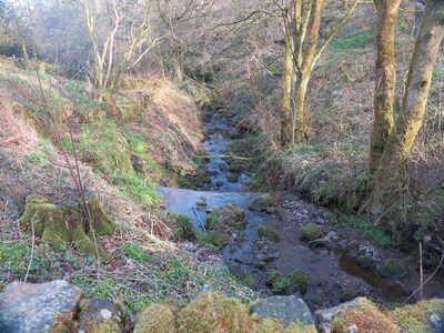 Secluded, listed stone cottage near Slaithwaite, family and pet friendly