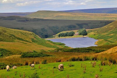 Secluded, listed stone cottage near Slaithwaite, family and pet friendly