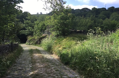 Secluded, listed stone cottage near Slaithwaite, family and pet friendly