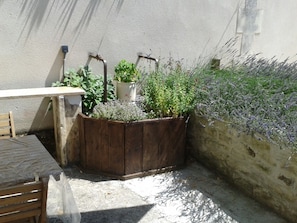 The herb garden on the terrace