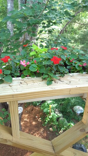 View of flowers & railing outside apt. door