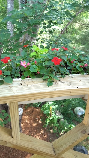 View of flowers & railing outside apt. door