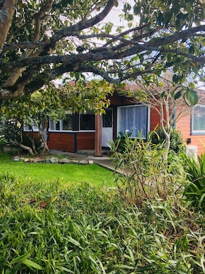 View of my 1950’s home from the street. My home is on a private dead end street.