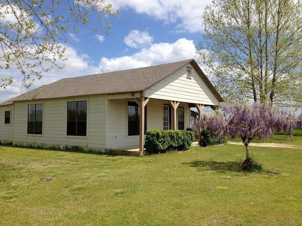 The Little House, early Spring 2014 