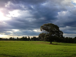 farm land behind house