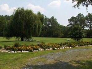 Front Yard