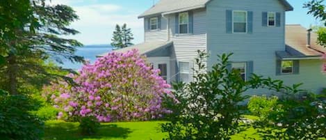 Peregrine Cottage from driveway. Landscaped for    privacy from road.  