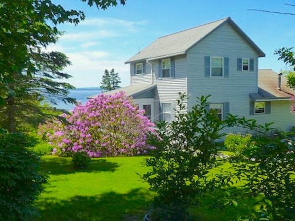 Peregrine Cottage from driveway. Landscaped for privacy from road.