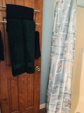 Linen closet and walk-in shower in bathroom.
