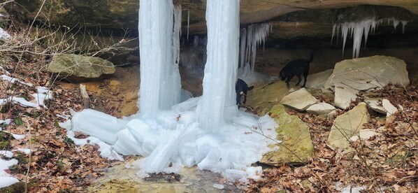 January 30, 2025 on site property hike with Moose and Millie