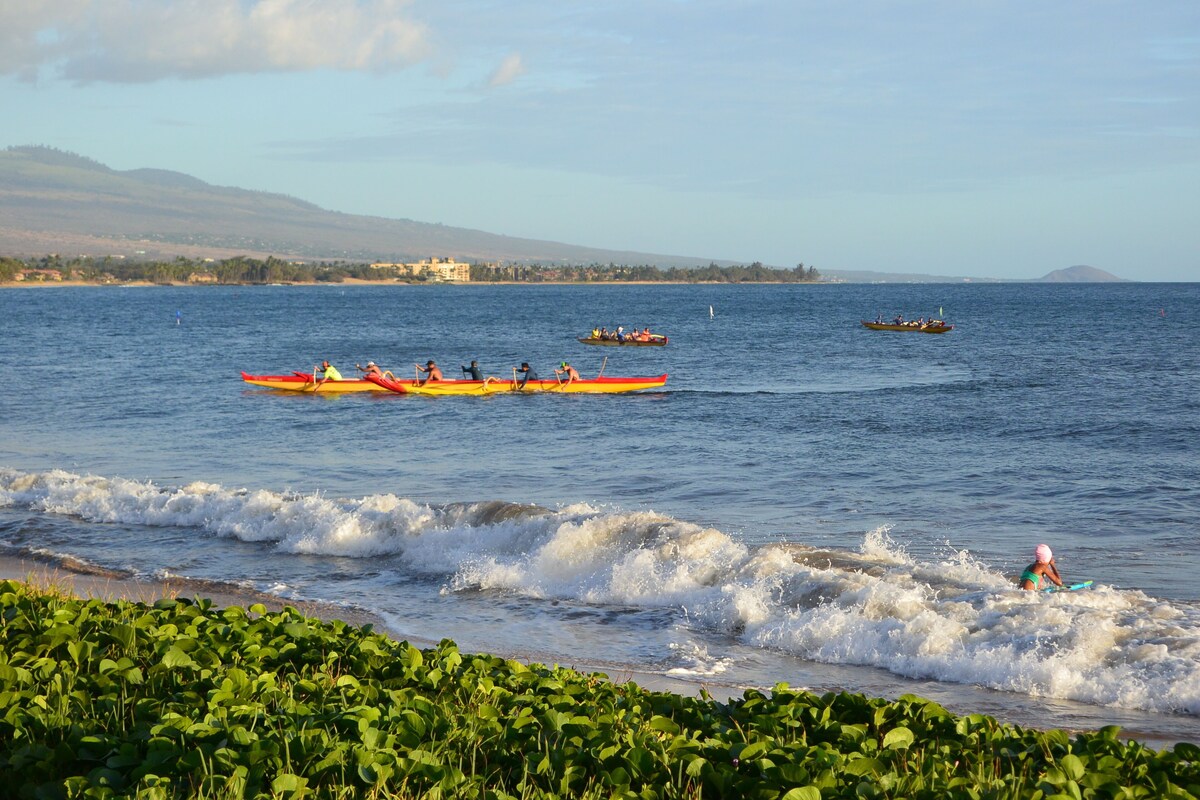 Beautiful Oceanview Condo with Spectacular Sunsets! – Recently Renovated