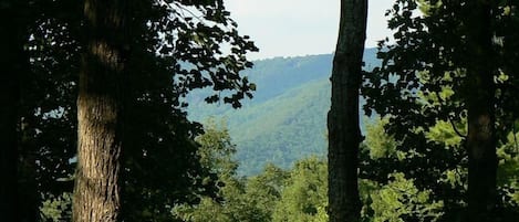 View from the deck overlooking Elk Mountain