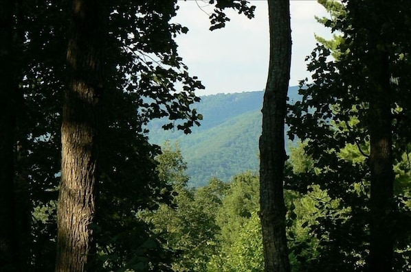 View from the deck overlooking Elk Mountain