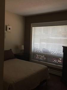 Beautiful Executive Downtown Suite