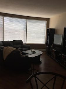 Beautiful Executive Downtown Suite