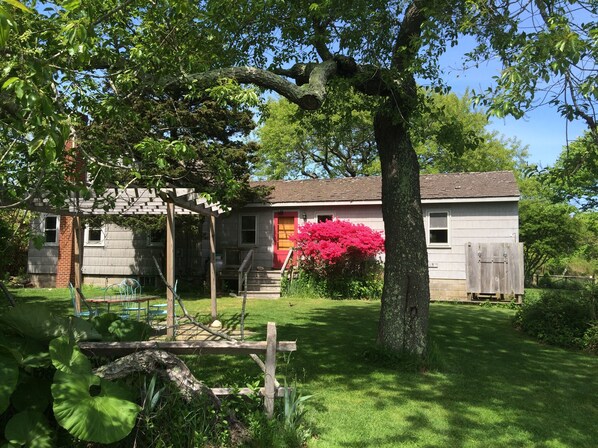 Lush surroundings and your own yard.