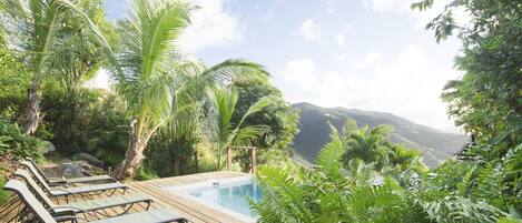 Lush tropical vibes on the pool deck