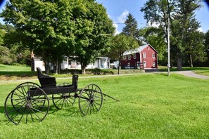 Rabbit Run Properties - view from across the street looking over Amish carriage 