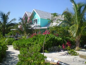 Path to Beach and Ocean