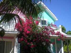 Exterior of Lilac and key Lime