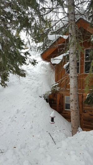 The snow is so deep that the snow on the ground meets the snow on the roof.