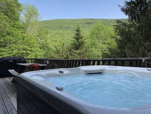 Hot-tub on the main deck