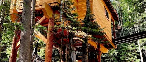 Your Treehouse!  Accessed by a bridge…OR a ladder, net, and trap door…😉