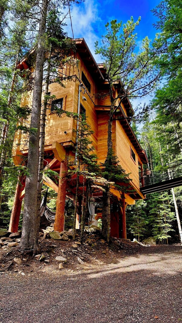 Your Treehouse!  Accessed by a bridge…OR a ladder, net, and trap door…😉