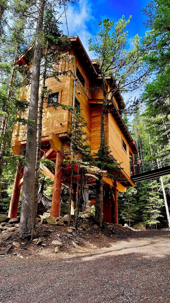 Your Treehouse! Accessed by a bridge…OR a ladder, net, and trap door…😉