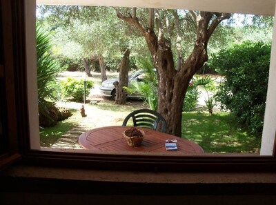 Alghero apartment, in the countryside, "Mirto"