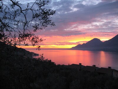 Luna apartment with wonderful lake and olive trees view